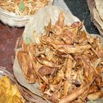 Vraj-Yatra-2014- (959)